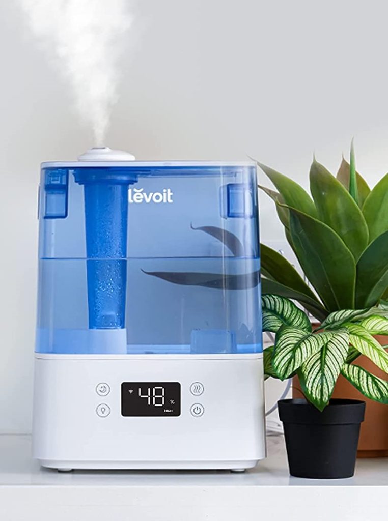 Increase the humidity level around your plant